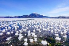 Destinasi musim dingin terbaik di Jepang: kristal es bentuk bunga di Danau Akan, Hokkaido.