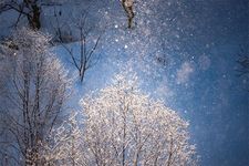 Destinasi musim dingin terbaik di Jepang: diamond dust di Hokkaido.