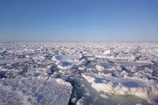 Drift ice atau lapisan es di permukaan Laut Okhotsk, Hokkaido.