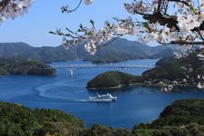 Shinkamigoto, spot melihat sakura di Nagasaki, Jepang.