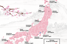 Peta sakura Jepang 2025 berdasarkan Badan Meteorologi Jepang, memuat prakiraan tanggal sakura mulai mekar sampai mekar penuh.