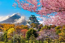 Sakura mekar di Taman Kastil Osaka, Jepang.