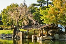 Taman Jepang Tokugawaen, tempat terbaik di Nagoya untuk melihat bunga sakura mekar.