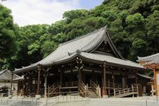 Suma-dera, tempat terbaik untuk menikmati sakura di Kobe, Jepang.