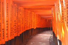 Fushimi-Inari Taisha di  Kyoto, Jepang.