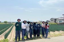 Sejumlah petani asal Indonesia di Matsubara Farm, Selasa (20/5/2025).