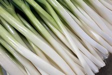 Daun bawang merupkan produksi unggulan Matsubara Farm milik petani Jepang asal Indonesia, Lina Rokayah, dan suaminya.