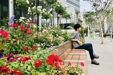Seorang pria mengenakan outfit kemeja dan celana katun sedang santai di taman.