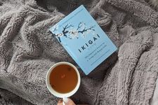 Buku&nbsp;Ikigai: The Japanese Secret to a Long and Happy Life karya Hector Garcia dan Francesc Miralles yang terbit pada 2016.
