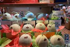 Melon Yubari King, salah satu buah termahal di Jepang. Sepasang melon Yubari King pernah terjual seharga Rp 550 juta-an.