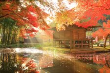 Kuil Chūson-ji di Prefektur Iwate, tempat terbaik melihat daun momiji musim gugur di Jepang.