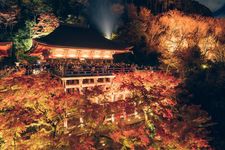 Kuil Kiyomizu-dera di Kyoto, Jepang, dipenuhi dengan dedaunan momiji oranye saat musim gugur.