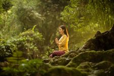  Shinrin-yoku atau forest bathing adalah praktik kesehatan dari Jepang yang fokus pada hubungan manusia dengan alam.&nbsp;