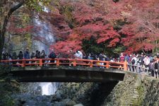 Air Terjun Minoh (juga dikenal sebagai Minoh-no-taki atau Minoh-otaki) di Minoh, Prefektur Osaka, Jepang.