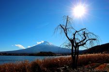 Danau ini merupakan danau terbesar kedua di antara Lima Danau Fuji berdasarkan luas permukaannya, dan foto ini diambil pada awal musim dingin.