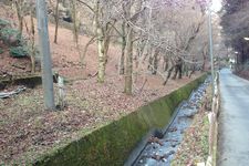 Sungai kecil di Gunung Takao.