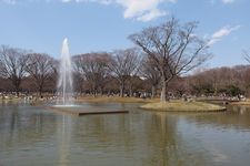 Yoyogi Park merupakan ruang publik yang paling hidup di Tokyo. 