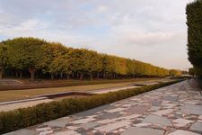 Showa Kinen Park di Tachikawa merupakan taman nasional yang luasnya 180 hektar.