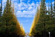 Taman yang berada di Meiji Jingu Gaien.