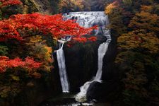 Musim Gugur di Air Terjun Fukuroda di Daigo, Ibaraki, Jepang.