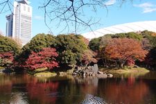 Koishikawa Korakuen merupakan salah satu taman tertua di Tokyo.
