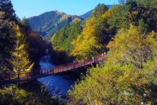 Sungai di Akigawa Valley saat musim gugur.