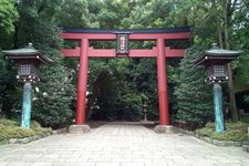 Torii di Kuil Nezu-jinja.
