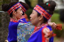 Festival Hachioji Ichou 2022. 