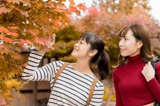 Pakailah kaos lengan panjang atau sweater saat musim dingin di Jepang.