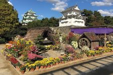 Pameran Bunga Krisan Kastil Nagoya ke-71 pada November 2018.