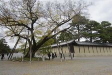 Kyoto Gyoen National Garden di Kyoto, Jepang.