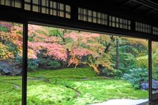 Suasana musim gugur di Jepang.