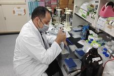 Dase Hanaefi saat sedang meneliti white tea Indonesia di Tokai University, Jepang.