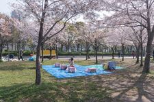Taman Kastil Osaka, Prefektur Osaka, Jepang.