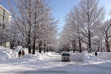Hokkaido University saat musim salju.