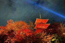 Kyōto dan Wilayah Barat Honshū cocok menjadi tujuan wisata musim gugur di Jepang.