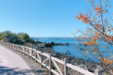 Kunjungi Kirishima Kinkō Bay National Park di Kyūshū saat liburan di Jepang.