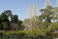 Struktur yang dikenal sebagai Yukitsuri yang melindungi pohon-pohon (pinus) dari salju yang berat.