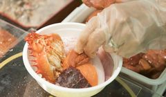 Mencicipi Kaisen-don, Nasi dengan Topping Sashimi di Hokkaido