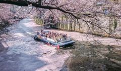 10 Tempat Terbaik untuk Melihat Sakura di Tokyo