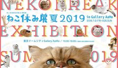 Gemas! Pameran Foto di Tokyo Ini Menampilkan Kucing-kucing yang Lucu