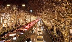 Hiasan Cahaya dari Pijaran Lampu di Kota Omotesando dan Harajuku, Indahnya...