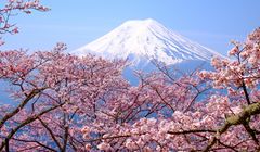 Terbang ke Tokyo, Bonus Jelajah Jepang Gratis? Cek Cara Dapatnya