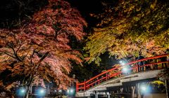 Berlokasi di 'Kerajaan Mata Air Panas', Coba 5 Atraksi Menarik di Ikaho Onsen