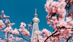 4 Rekomendasi Hotel Terbaik di Tokyo untuk Melihat Keindahan Sakura