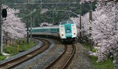 Liburan Musim Semi di Jepang, Ini 5 Lokasi Hanami Sakura di Osaka