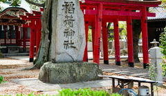 Jelajahi Omishima Jepang, Ada Pohon Berusia 2600 tahun Hingga Menginap di Gedung Sekolah