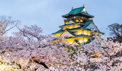 Daya Tarik "Wilayah Kinki" yang Meliputi Kyoto dan Osaka, Pusat Sejarah dan Budaya Jepang