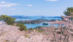 Menikmati Sakura di 3 Pulau Terindah di Jepang