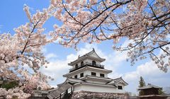 Menikmati Indahnya Sakura Sambil Belajar Sejarah di Kastil Shiroishi-jo Jepang